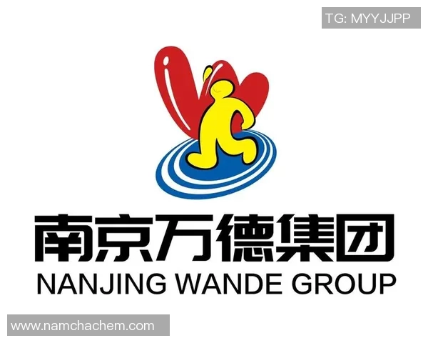 南京极限运动队转型之路：探索新趋势与挑战的深度解析